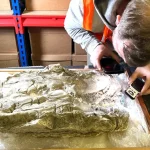 Remnants of rare purple dye from Bible times uncovered in 'remarkable' find