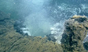 Scientists Forecast Eruption of Underwater Volcano Near Oregon