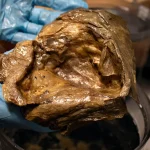 Scientists Identify Mysterious Underwater Golden Orb