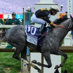 Solo's Victory at 151st Preakness