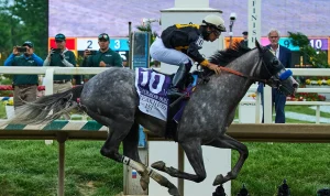 solos-victory-at-151st-preakness-48462 Solo's Victory at 151st Preakness