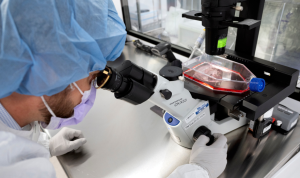 targeted-cancer-treatment-delivers-chemo-directly-to-tumors-57976 Targeted Cancer Treatment Delivers Chemo Directly to Tumors