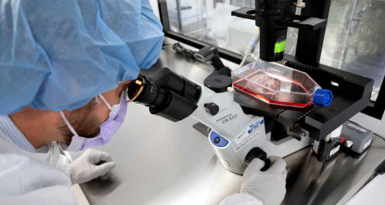 Targeted Cancer Treatment Delivers Chemo Directly to Tumors