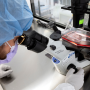 Targeted Cancer Treatment Delivers Chemo Directly to Tumors