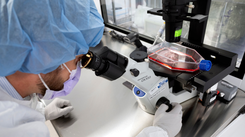 Targeted Cancer Treatment Delivers Chemo Directly to Tumors