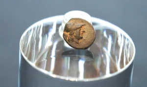 teenager-finds-ancient-coin-baffling-archaeologists-about-its-origin-67255 Teenager finds ancient coin, baffling archaeologists about its origin
