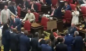 Tennessee Protests Over Legislature's Redrawing of Majority-Black District