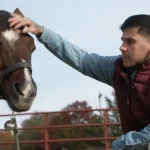 Therapeutic Benefits of Horses