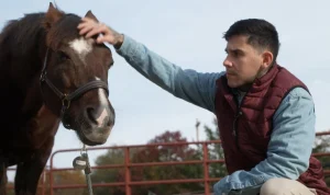 Therapeutic Benefits of Horses