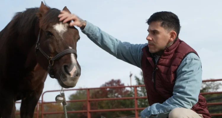 Therapeutic Benefits of Horses