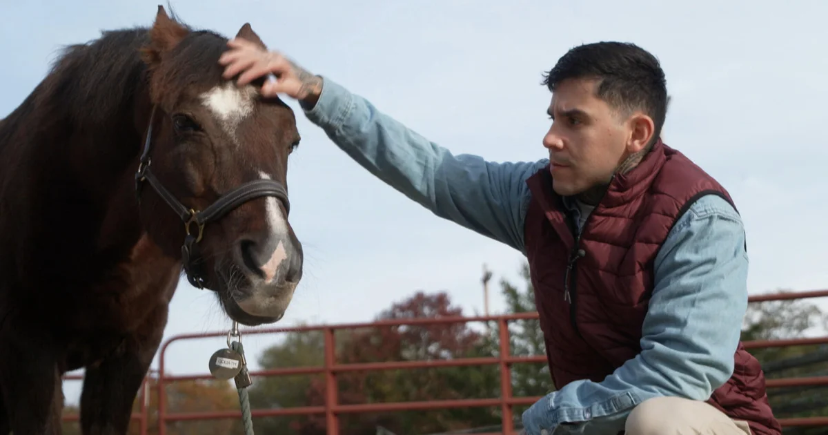 Therapeutic Benefits of Horses