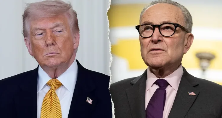 Trump Says Schumer Is Trying to 'Interfere in Our Elections' with New Strategy