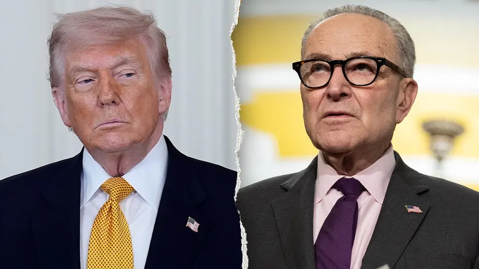 Trump Says Schumer Is Trying to 'Interfere in Our Elections' with New Strategy