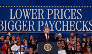 Trump's Perceived Dismissal of American Financial Concerns Benefits Democrats