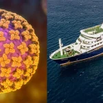 Two cruise ship passengers infected with hantavirus have a rare strain, according to health officials.