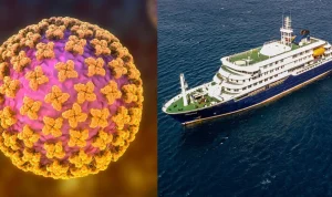 Two cruise ship passengers infected with hantavirus have a rare strain, according to health officials.