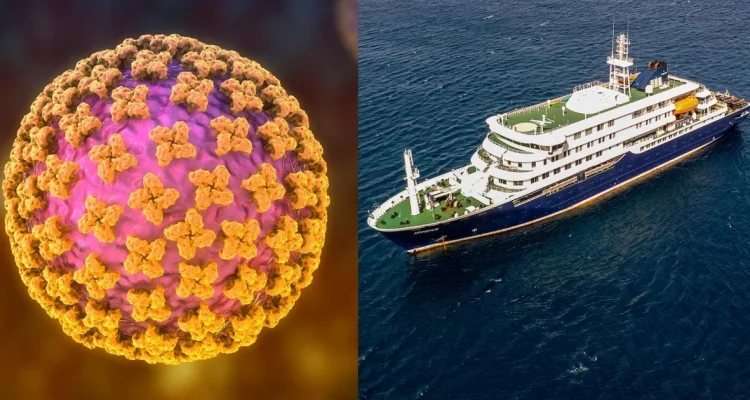 Two cruise ship passengers infected with hantavirus have a rare strain, according to health officials.