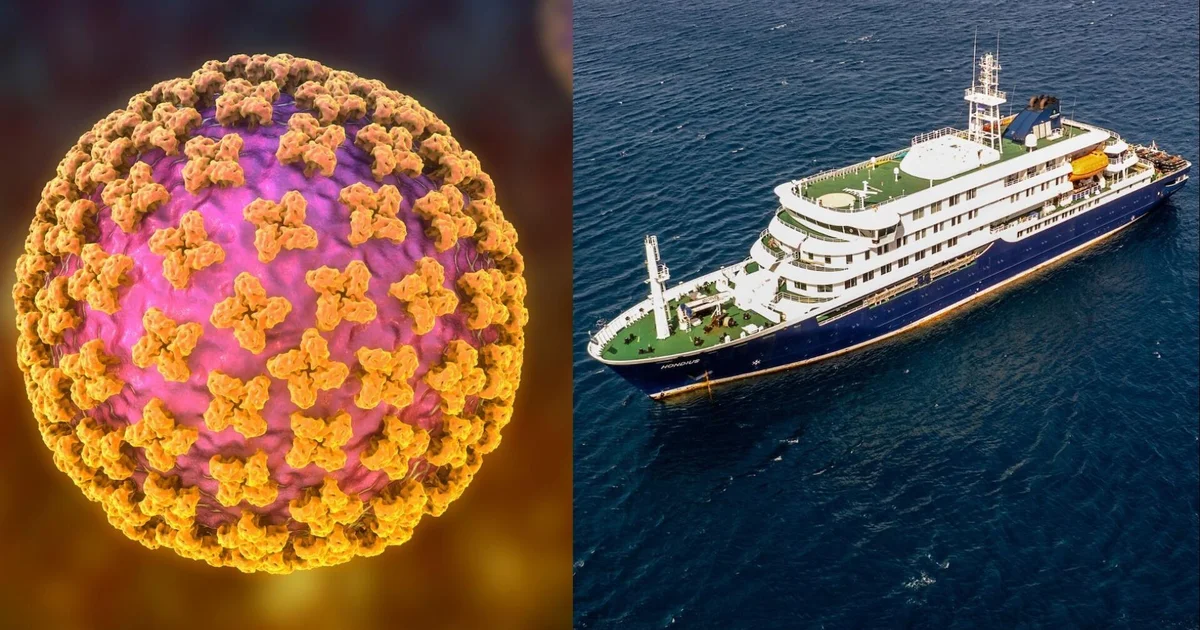 Two cruise ship passengers infected with hantavirus have a rare strain, according to health officials.