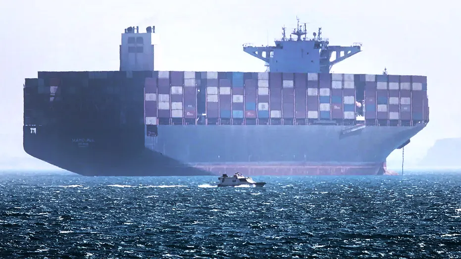 US Ally Backs Trump's Plan to Counter Iran in Hormuz: 'Ready to Help