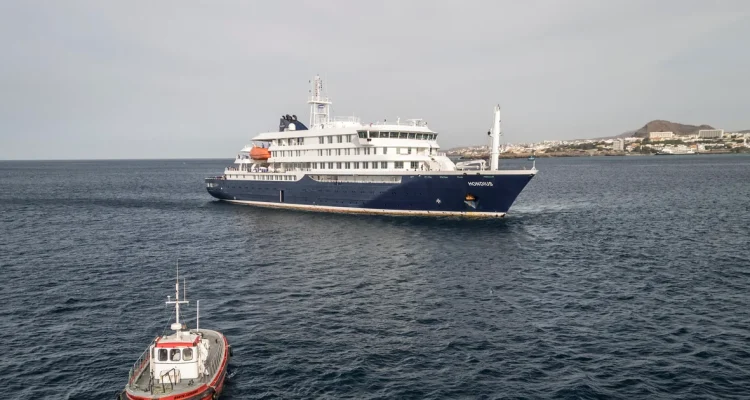 WHO Director to Personally Oversee Hantavirus Cruise Evacuation