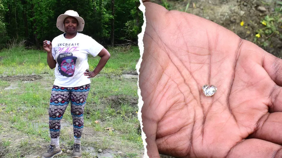 Woman Discovers 3-Carat Diamond at State Park After Difficult Year