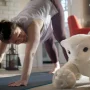AI-powered robot pets may soon be your companions