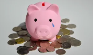 Americans' Financial Literacy Hits Decade Low