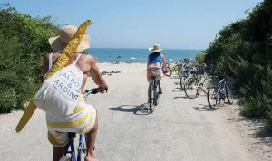 bacteria-found-in-waters-near-luxury-resort-ahead-of-summer-69027 Bacteria Found in Waters Near Luxury Resort Ahead of Summer