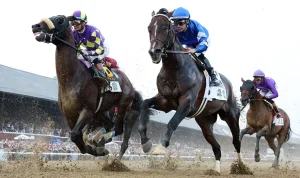 belmont-stakes-2026-your-guide-to-the-triple-crowns-final-race-22191 Belmont Stakes 2026: Your Guide to the Triple Crown's Final Race