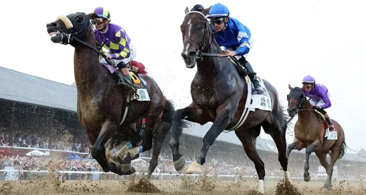 Belmont Stakes 2026: Your Guide to the Triple Crown's Final Race
