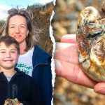Boy stumbles on strange beach object identified as rare 1.8M-year-old fossil