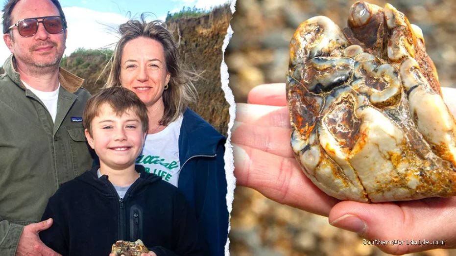 Boy stumbles on strange beach object identified as rare 1.8M-year-old fossil