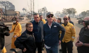 California Proves Voters Get the Government They Tolerate