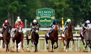 Chris 'The Bear' Fallica's Belmont Stakes Picks and Predictions for FOX Super 6