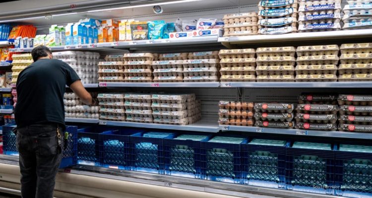 Egg Producers Settle Price-Fixing Allegations