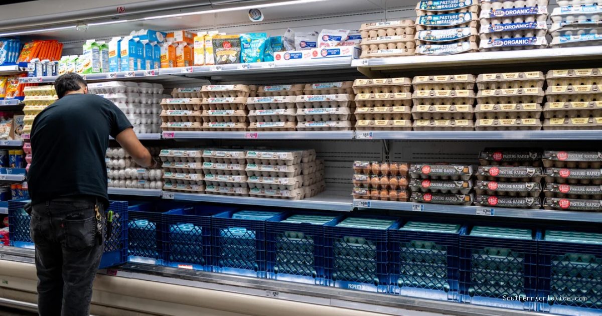 Egg Producers Settle Price-Fixing Allegations
