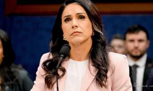 Gabbard: Declassified Records Support Biolab Concerns Dismissed as Misinformation