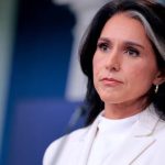 Gabbard Questions Fauci, COVID Origin in Final Intelligence Act Amid Succession Battle