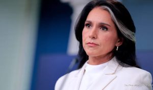 Gabbard Questions Fauci, COVID Origin in Final Intelligence Act Amid Succession Battle
