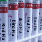 H5N1 Bird Flu Reaches Australia, Now Present on Every Continent