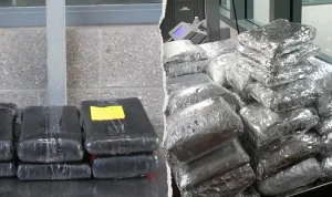 Massive Border Busts Uncover Eye-Popping Drug Amounts