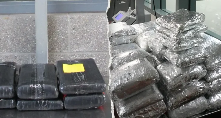 Massive Border Busts Uncover Eye-Popping Drug Amounts