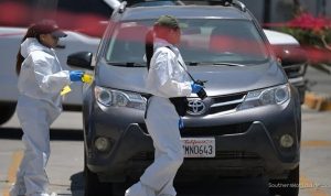 mexican-authorities-find-body-near-irans-world-cup-training-site-report-42692 Mexican Authorities Find Body Near Iran's World Cup Training Site: Report