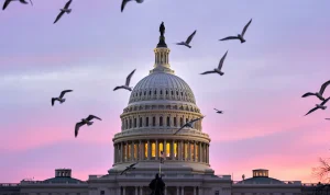 morning-glory-countryside-vs-capitol-part-i-36773 Morning Glory: Countryside vs. Capitol Part I