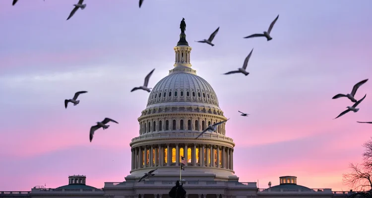 Morning Glory: Countryside vs. Capitol Part I