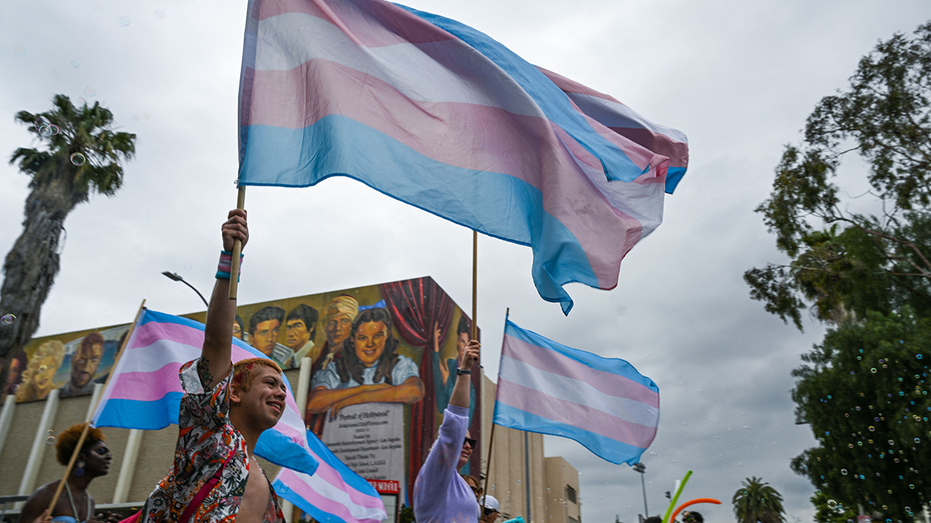 New Jersey Democrats Advance Bill Criminalizing Interference with Abortion, Transgender Healthcare