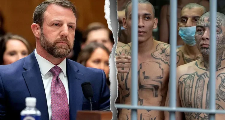 Sex Offenders and Gang Members Exploited Child Immigration Program to Enter US, DHS Finds