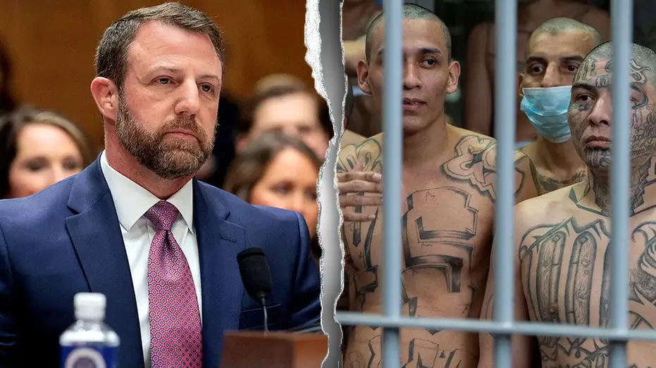 Sex Offenders and Gang Members Exploited Child Immigration Program to Enter US, DHS Finds