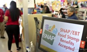 SNAP food stamp fraud has nefarious terrorism links, top Agriculture watchdog warns Congress