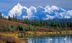 sole-survivor-found-after-fatal-mount-mckinley-climbing-accident-30205 Sole Survivor Found After Fatal Mount McKinley Climbing Accident